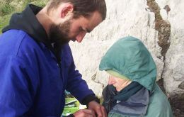 South African doctoral student Jonathan Handley (L) attaches a video camera to a Falklands gentoo, assisted by Alicky Davey, working with Falklands Conservation