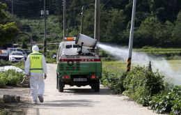 Five pigs found dead at a farm in Paju, a city near the inter-Korean border, were confirmed to have been infected with the virus, an agriculture official said